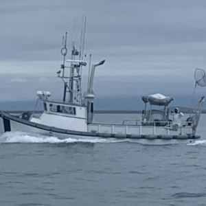 P2541M- 37' WEGLEY/ROZEMA GILLNETTER WITH RSW