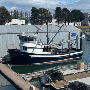 P2564M- CLEAN 58' STEEL SEINER/CRABBER BUILT BY HYDRAULIC MARITIME SUPPLY